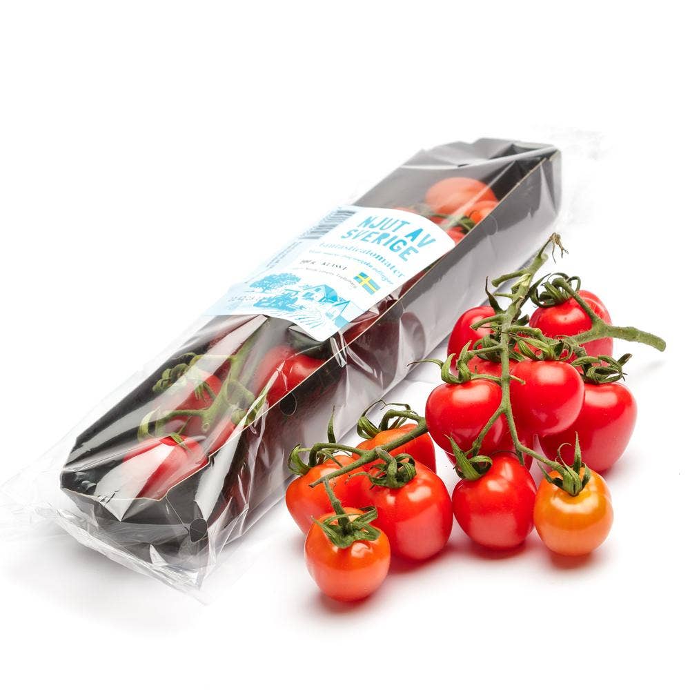 Tomat Fantastika Klass1 Sverige