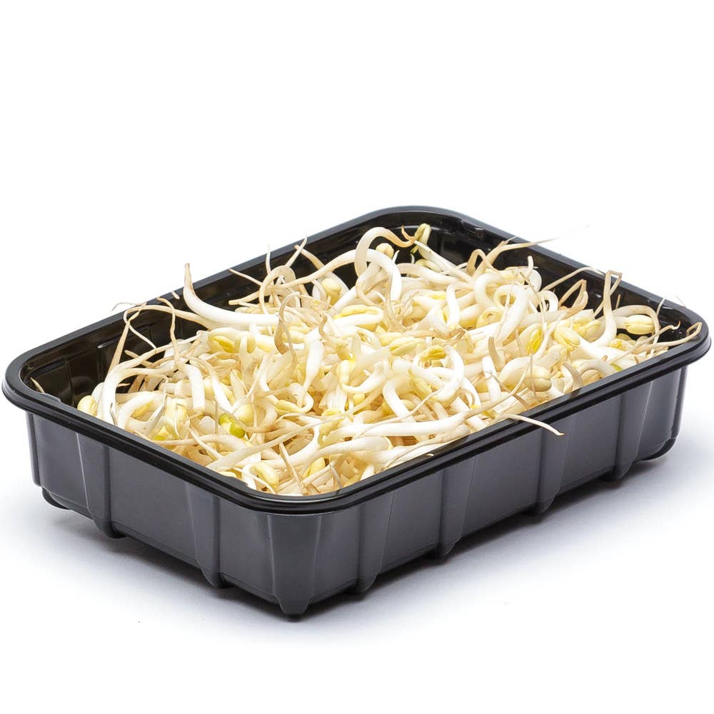 Böngroddar EKO/KRAV Klass1 Sverige