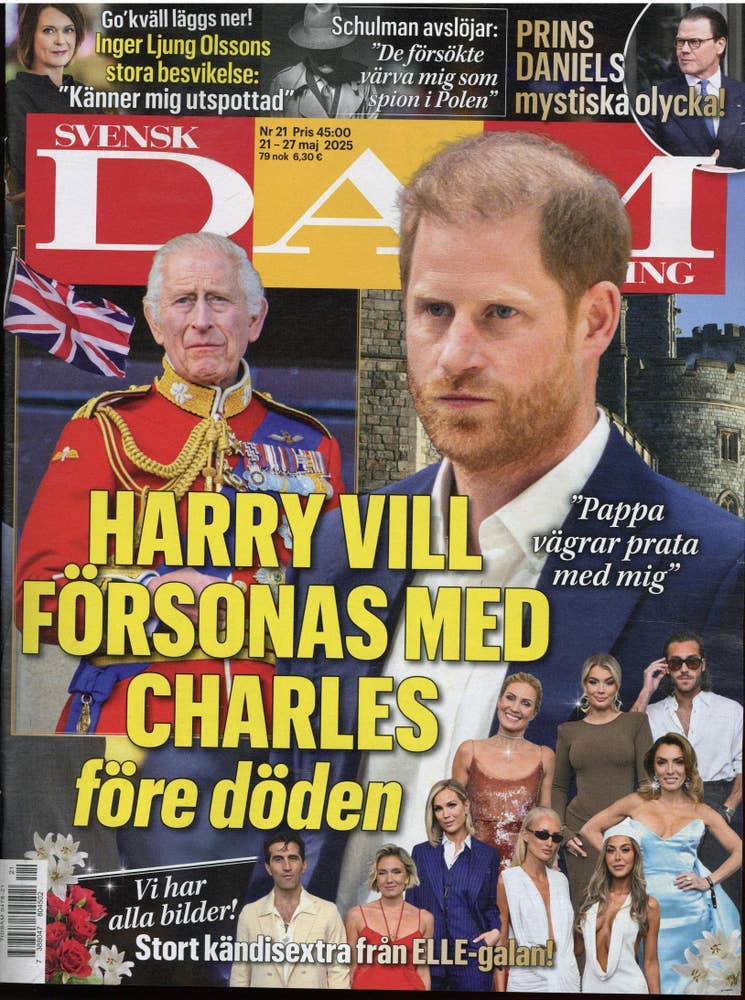 Tidsam Svensk Damtidning Tidsam