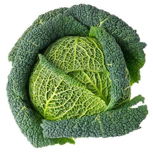 Savoykål Klass1 Sverige