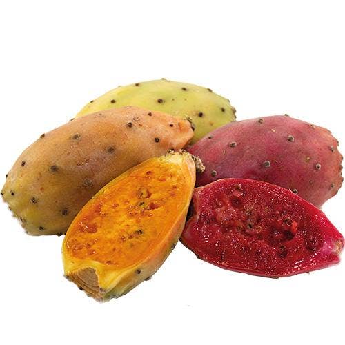 Kaktusfikon Klass1 Italien