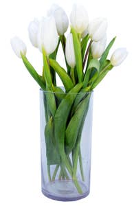 Mimea AS Tulpaner Vita 9-p