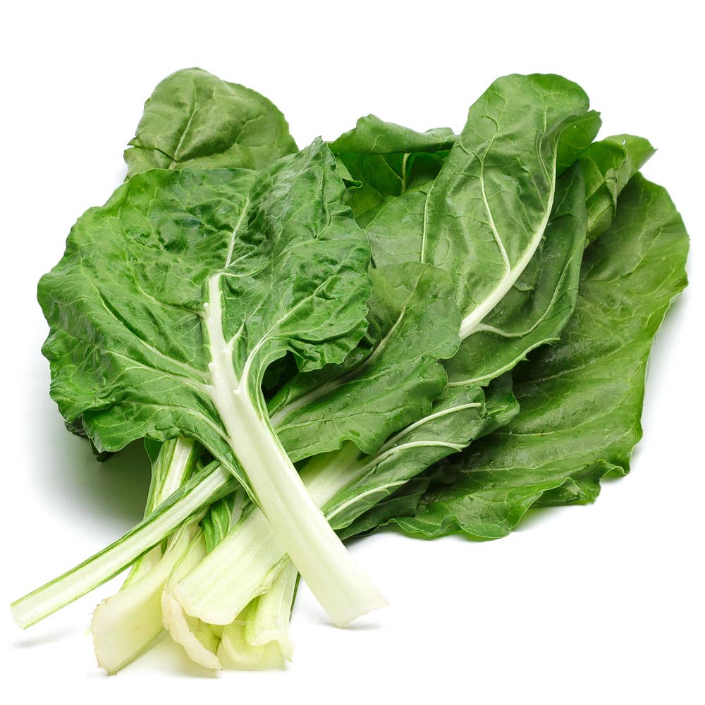 Mangold bunt Klass1 Spanien