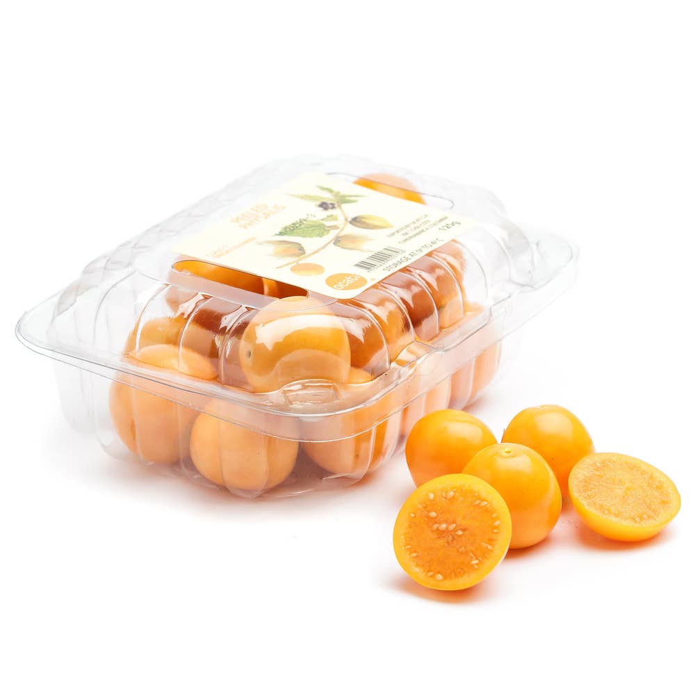 Physalisbär Klass1 Peru