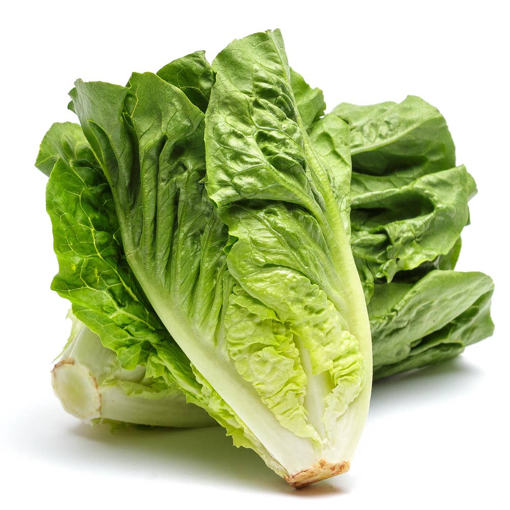 Romansallad Klass1 Nederländerna