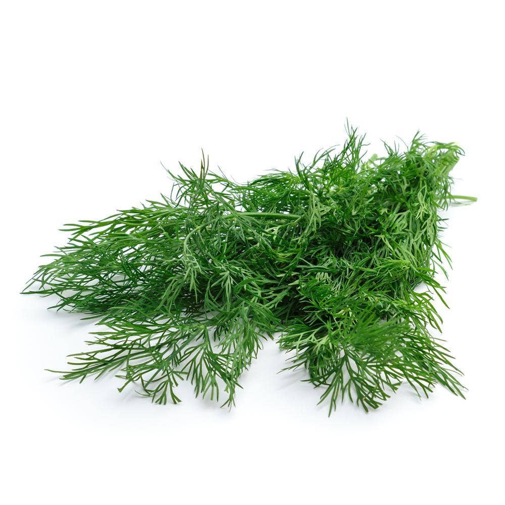 Dill flow Klass1 Italien