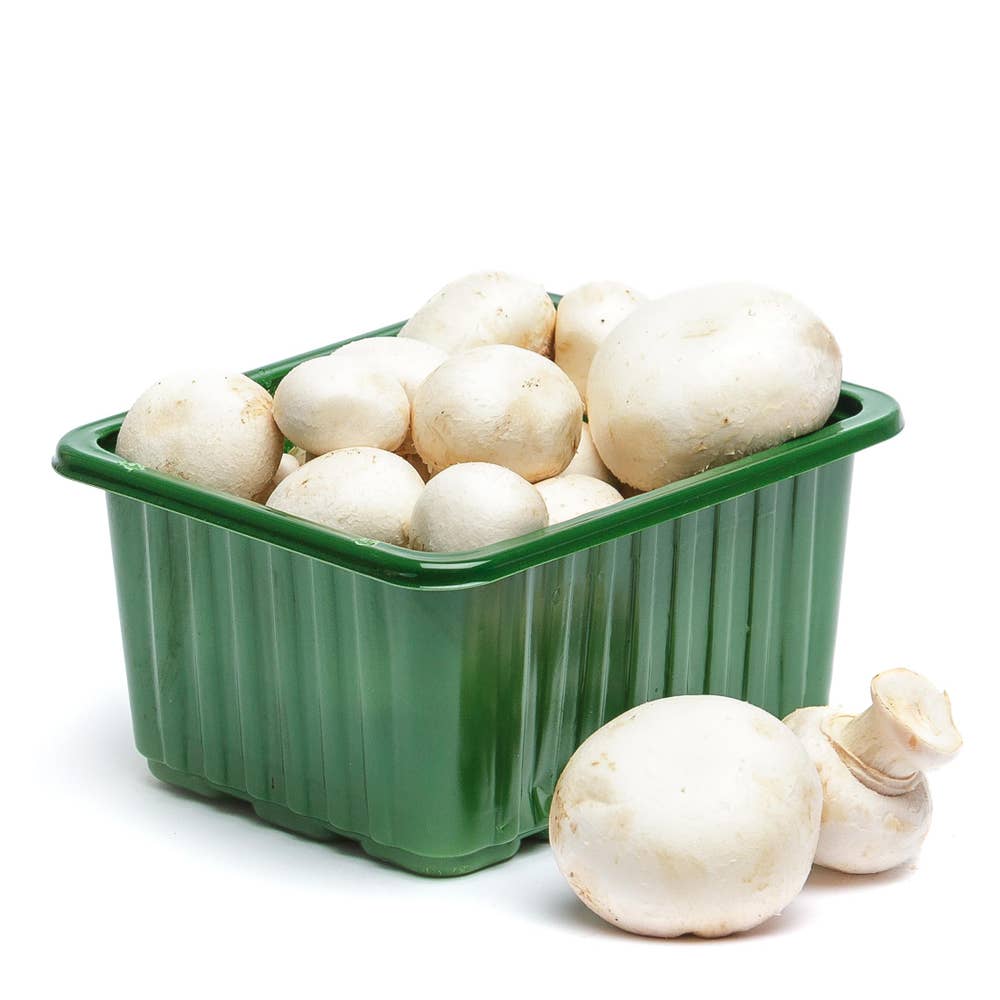 Champinjoner EKO/KRAV Klass1 Polen