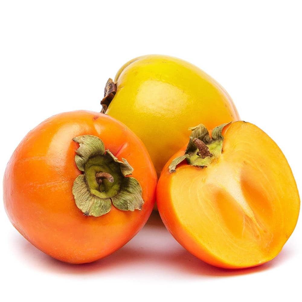 Persimon Klass1 Makedonien