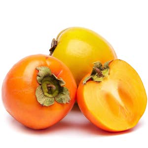 Persimon Klass1 Spanien