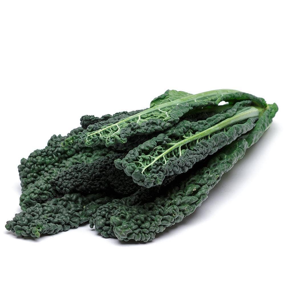 Svartkål Klass1 Nederländerna