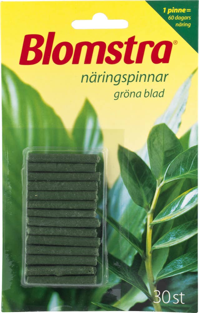 Blomstra Näringspinnar Gröna Växter