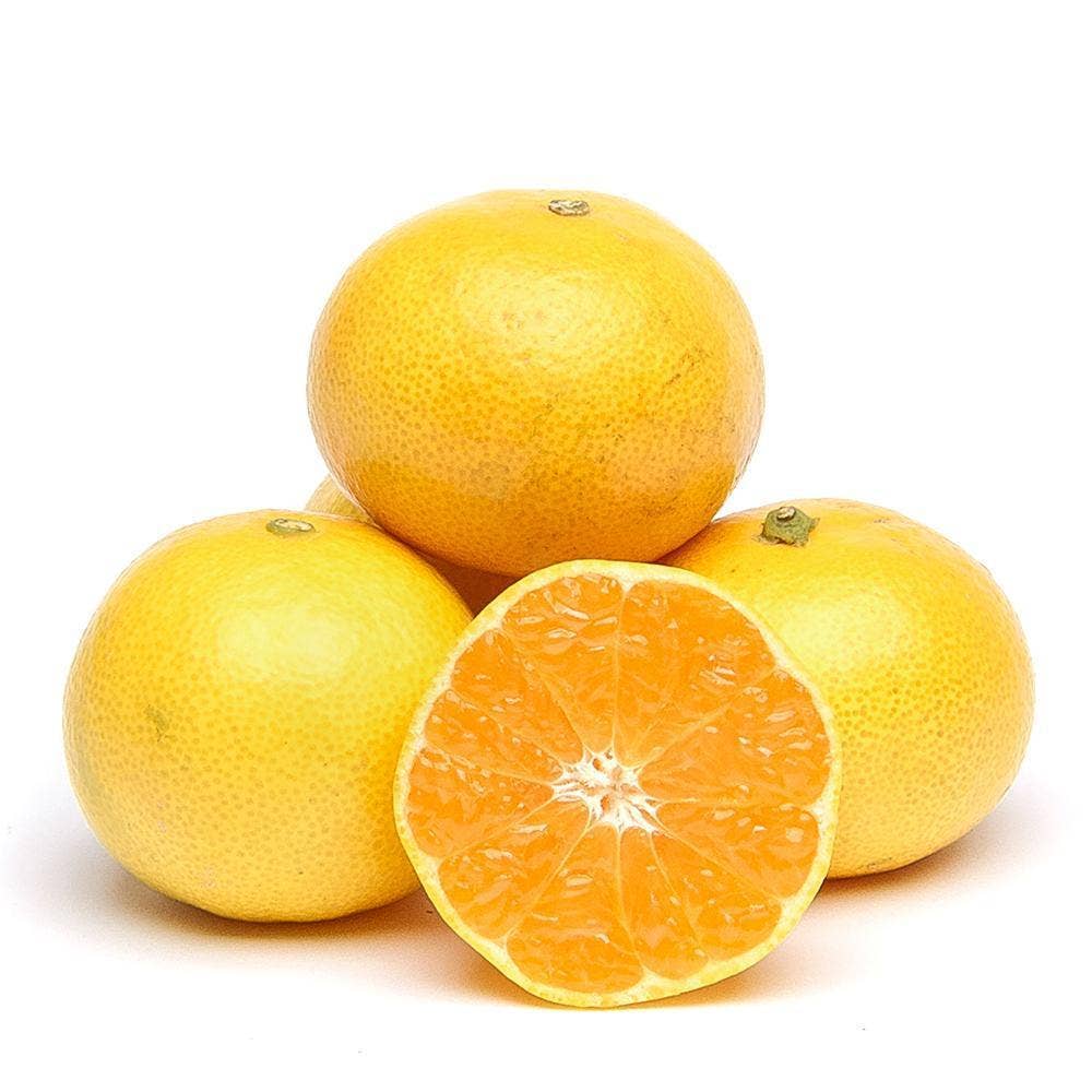 Satsumas Klass1 Spanien