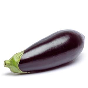 Aubergine Klass1 Nederländerna