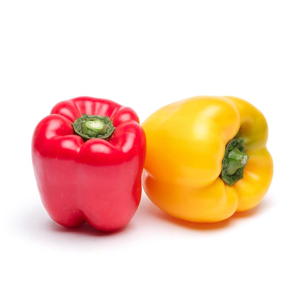 Paprikamix EKO Klass1 Nederländerna