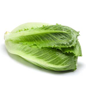 Sallad Cosmopolitan Klass1 Spanien