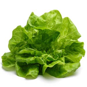Sallat Huvud Klass1 Sverige