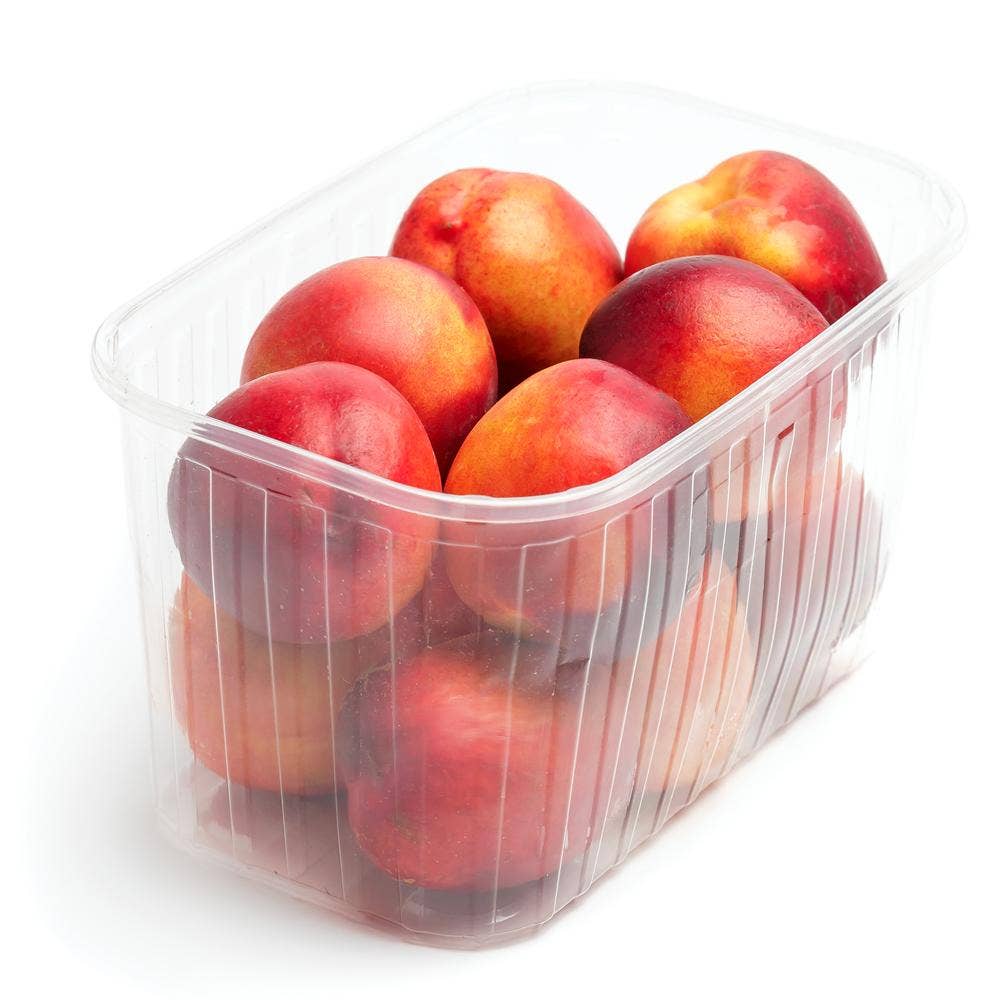 Nektarin Korg Klass1 Spanien