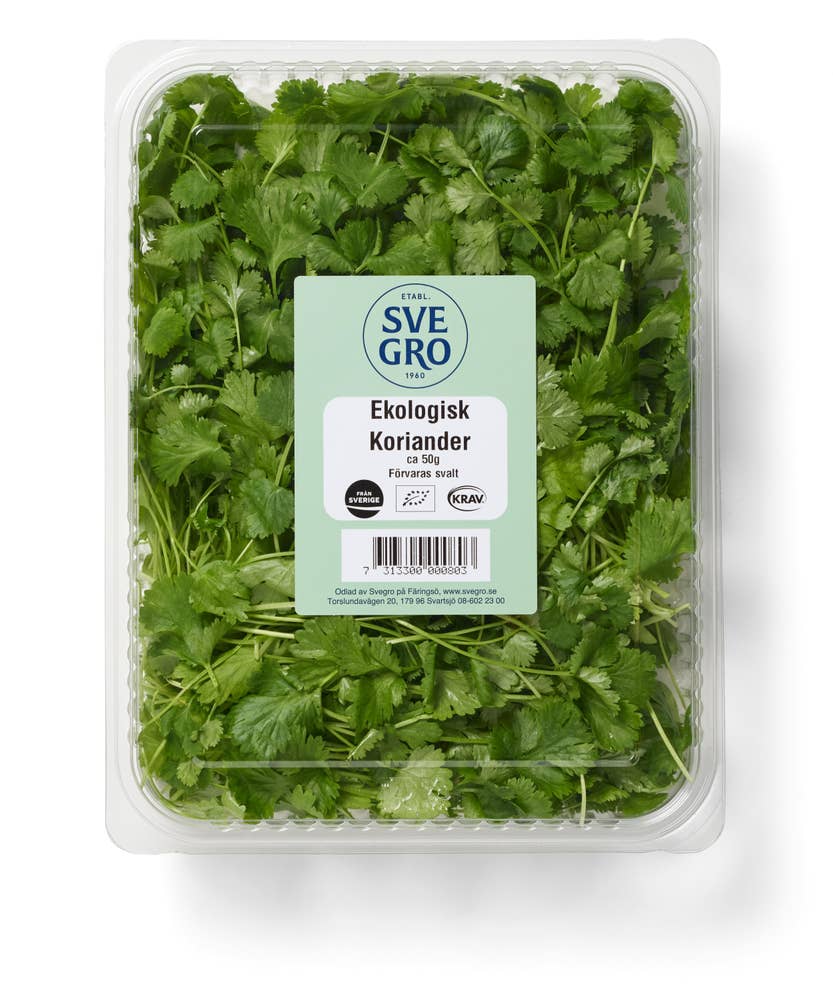 Koriander EKO skuren i ask Klass1 Sverige