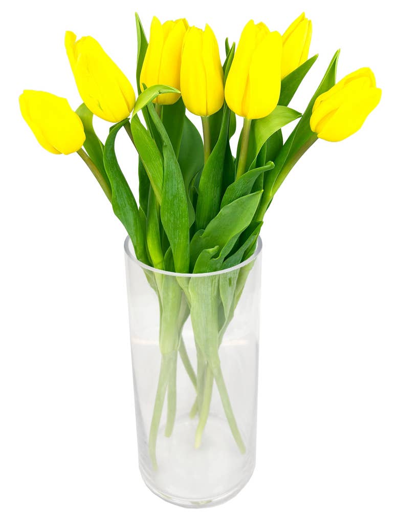 Mimea AS Tulpaner Gula 7-p Sverige