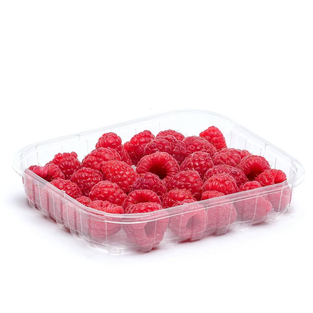 Hallon Klass1 Marocko