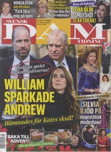 Tidsam Svensk Damtidning Tidsam