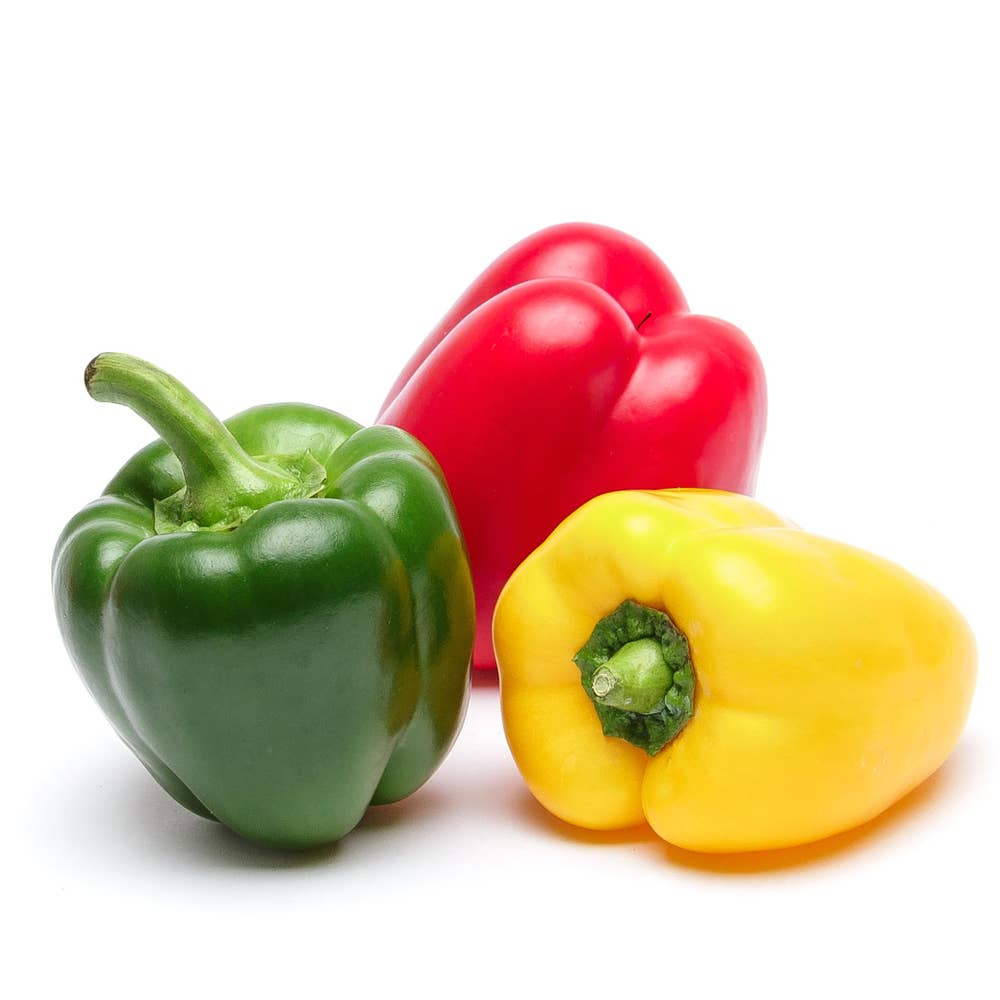 Paprikamix Klass1 Spanien