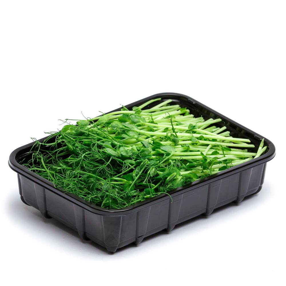 Ärtskott EKO/KRAV Klass1 Sverige