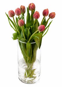 Mimea AS Tulpaner Rosa 9-p