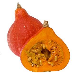 Pumpa Hokaido Klass1 Sverige