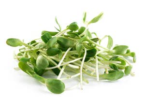 N/A Solrosskott Klass1