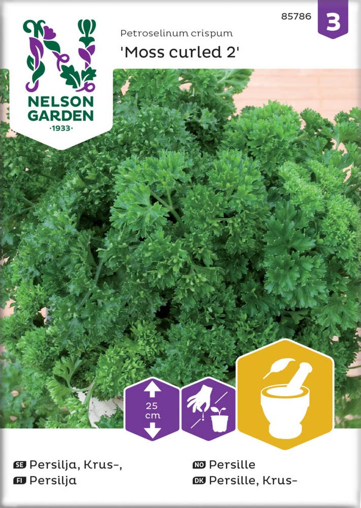 Nelson Garden Odlingsfrön Persilja krus