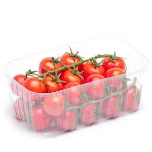 Cocktailtomater på Kvist Klass1 Nederländerna