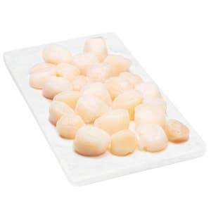 Bergfalk Hokkaidokammussla Refresh MSC 10/20