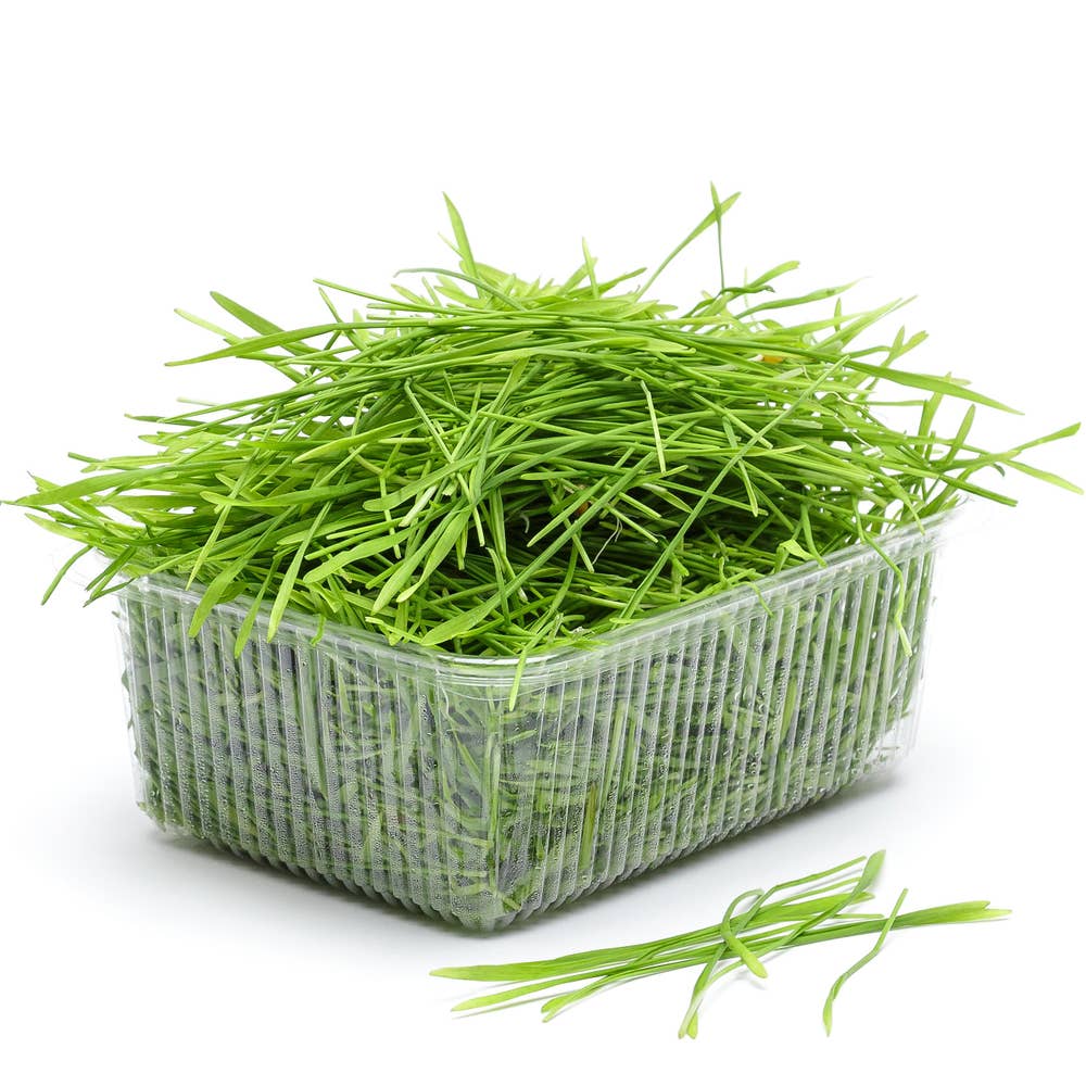 Vetegräs EKO Klass1