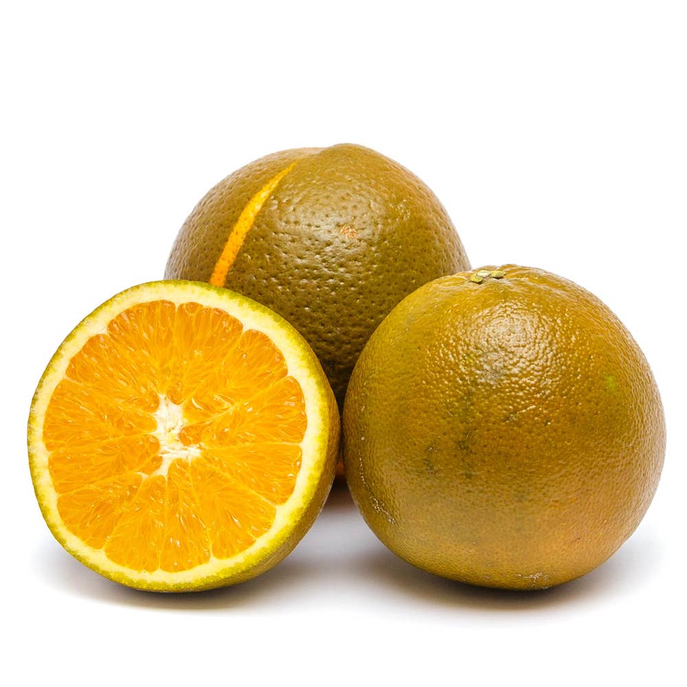 Apelsin Choklad "Navel" Klass1