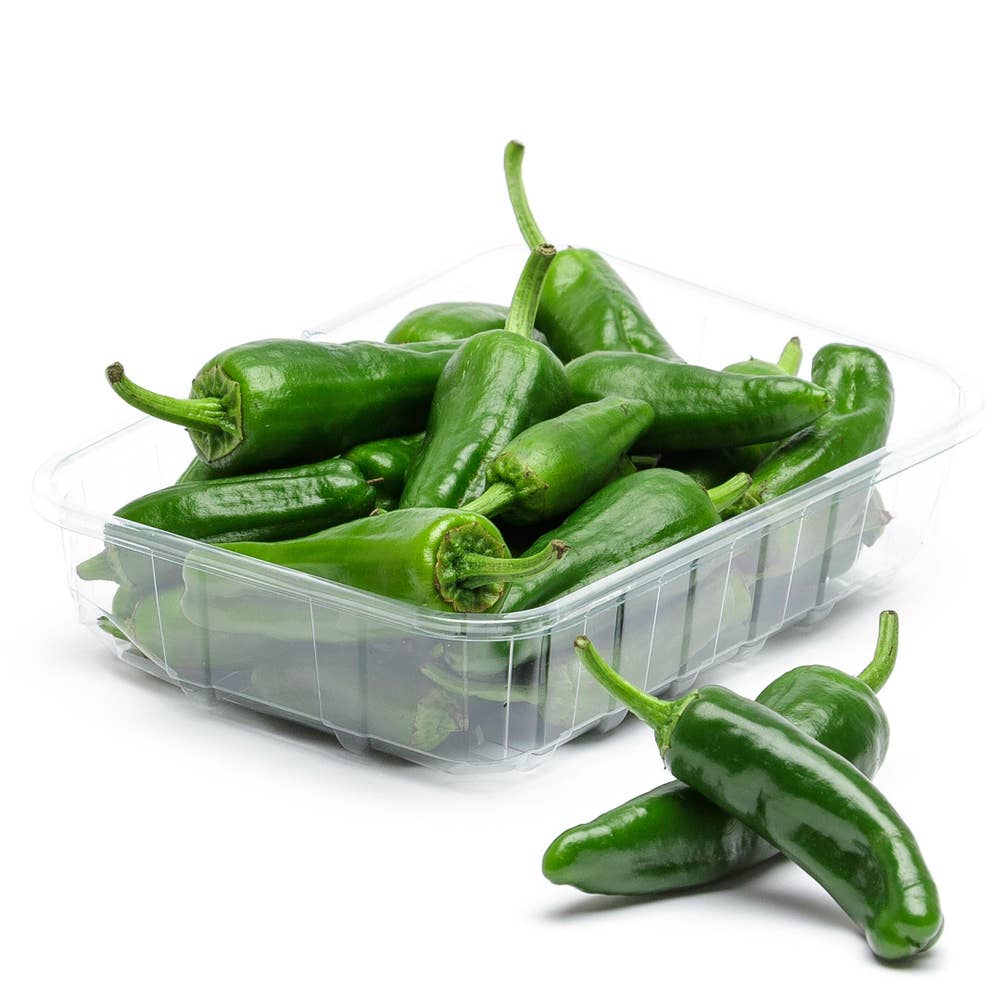 Padronchili Klass1 Nederländerna