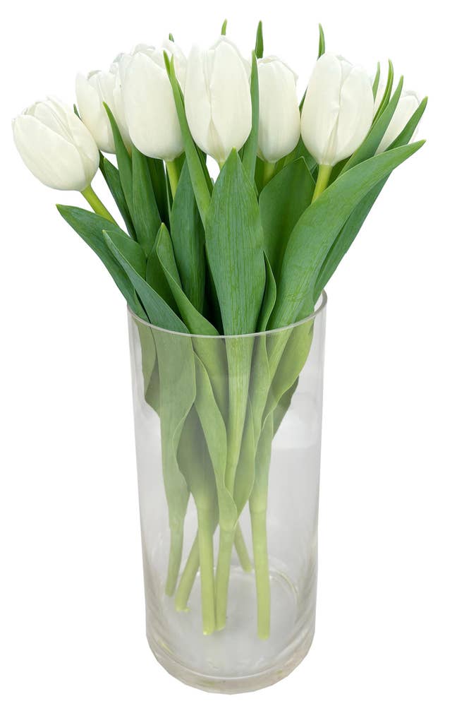Mimea AS Tulpaner Vita 7-p Sverige