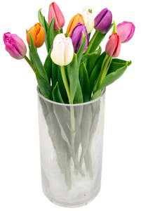 Mimea AS Tulpaner Blandade färger 10-p Sverige