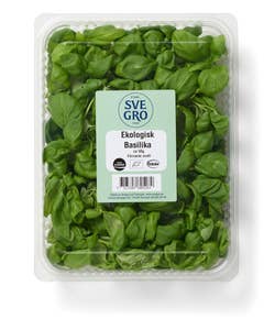 Basilika EKO skuren i ask Klass1 Sverige