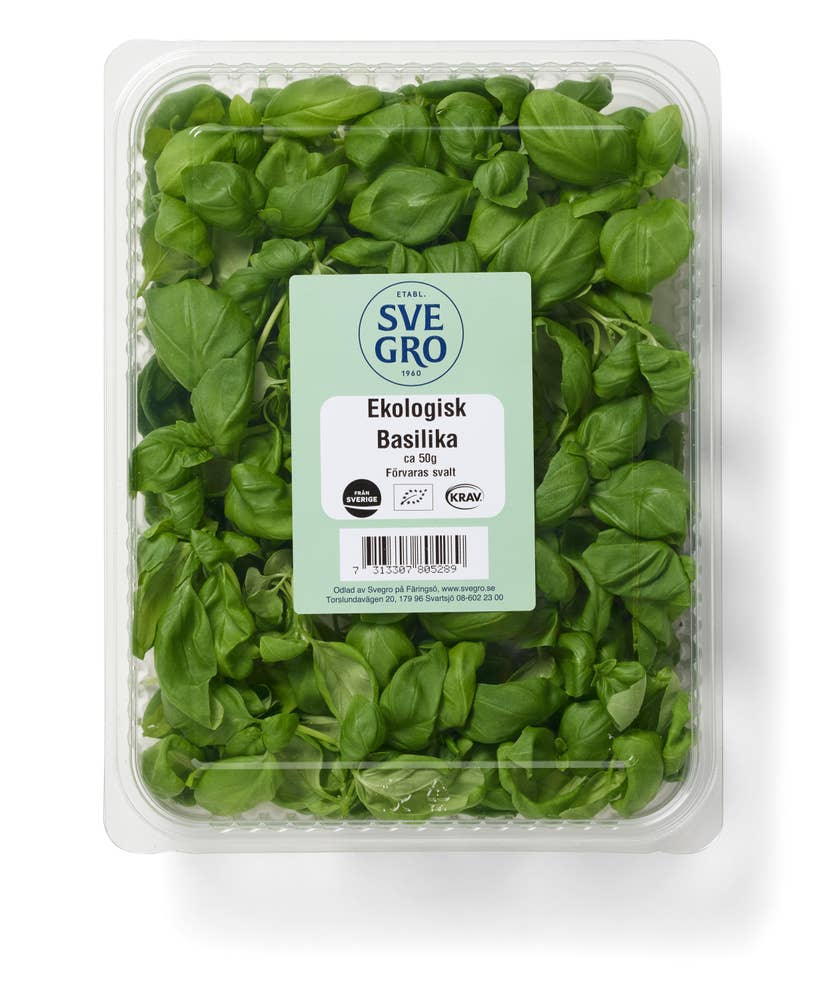 Basilika EKO skuren i ask Klass1 Sweden