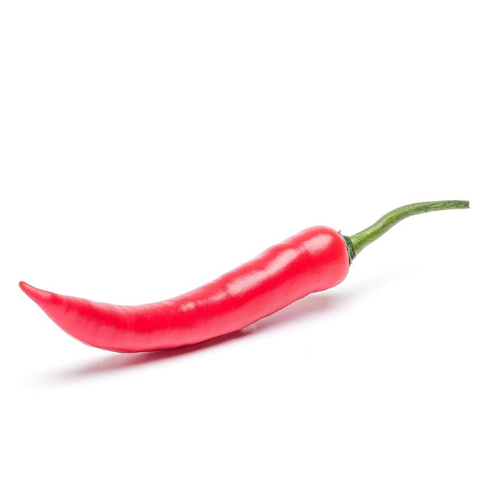 Chilipeppar Röd Klass1 Nederländerna