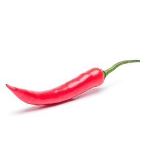 Chilipeppar Röd Klass1 Nederländerna