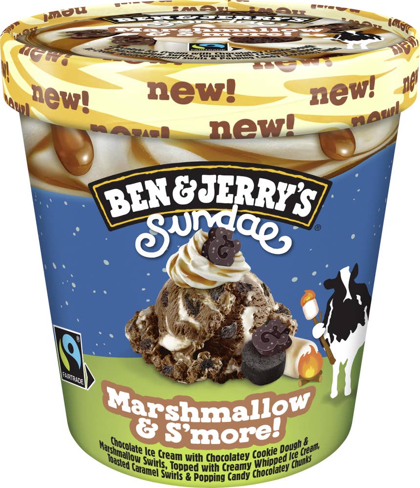Ben & Jerry's Glass Marshmallow & S'more!