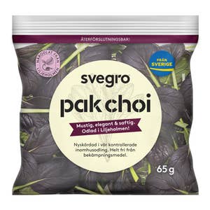 Pak Choi Stadsodlad Klass1 Sverige