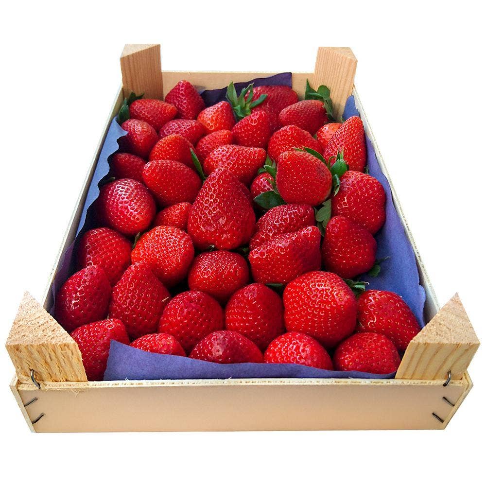 Jordgubbar klass1 Spanien