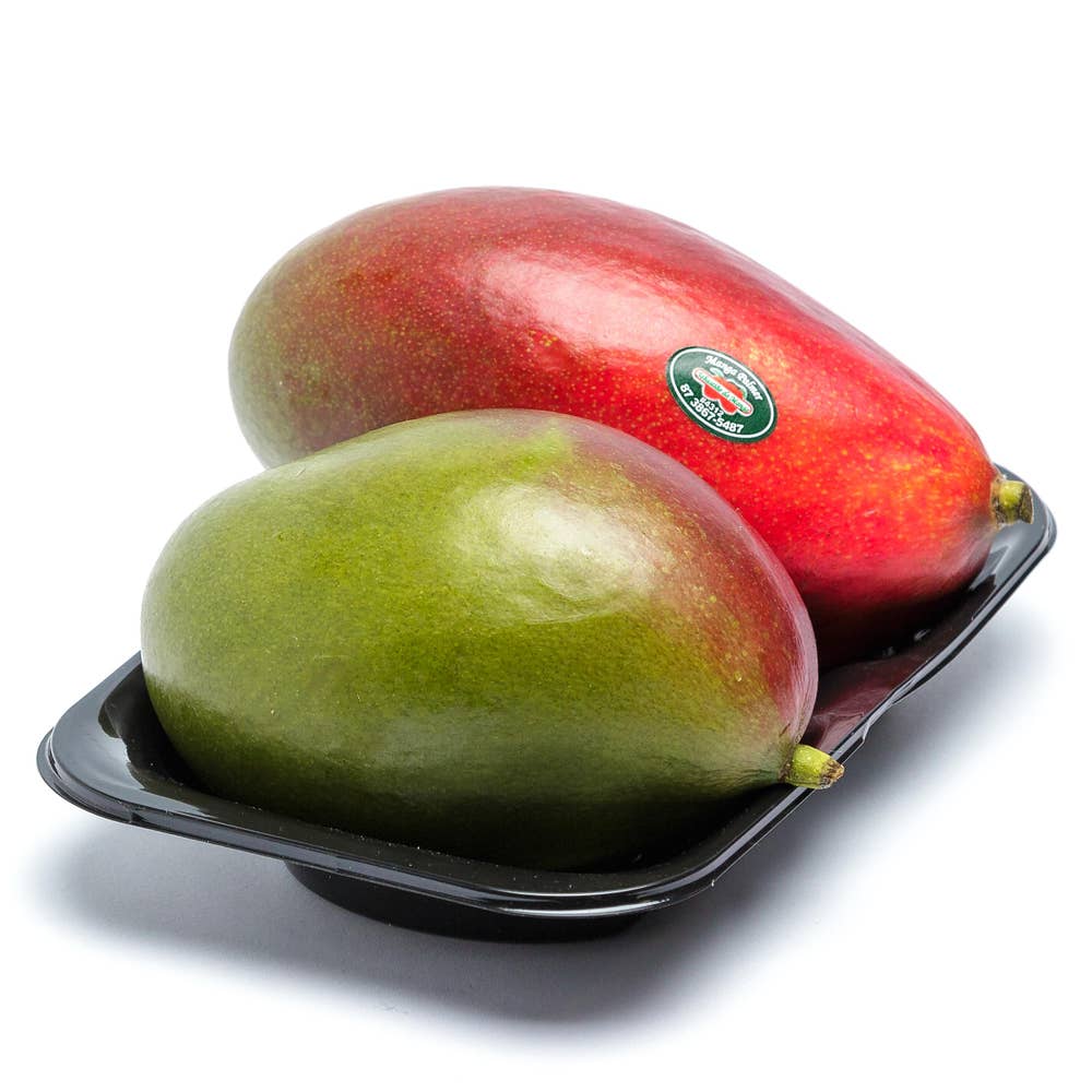 Mango 2-pack ätmogen Klass1 Brazil