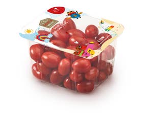 Tomat plommon baby Klass1 Marocko