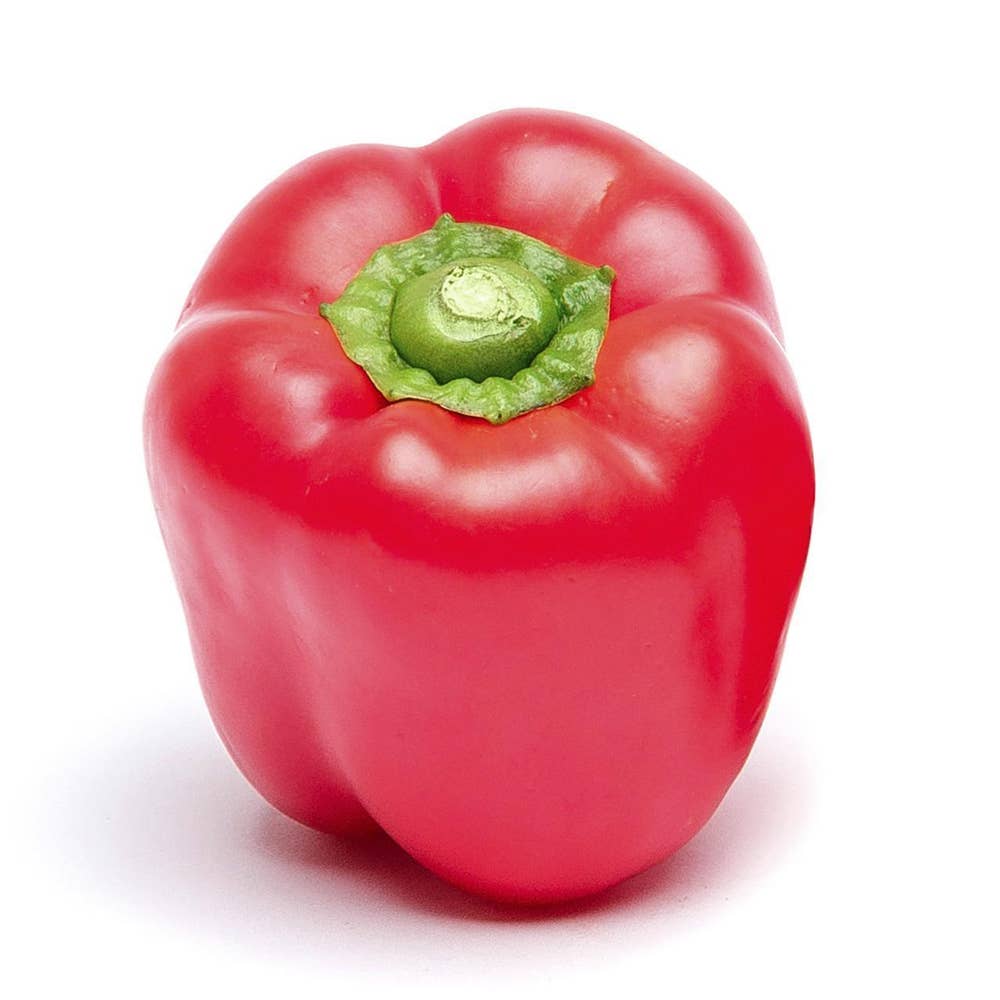 Paprika Röd Klass1 Spanien