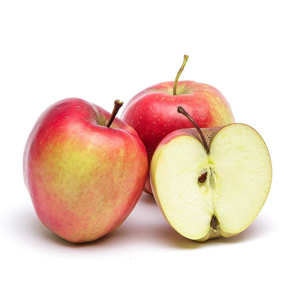 Äpple Gloster Klass1 Sverige