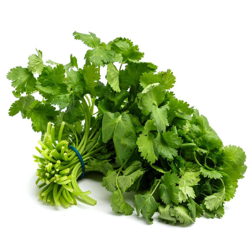 Koriander i flowpack Klass1 Spanien